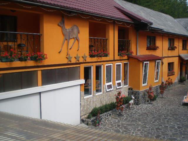 Cazare in Baia Mare - PENSIUNEA CAPRIOARA - Baia Mare Cazare in Baia Mare - PENSIUNEA CAPRIOARA - Baia Mare