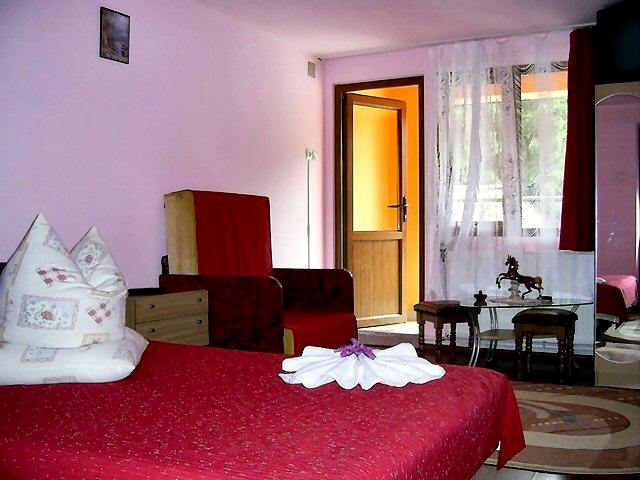 Cazare in Baia Mare - PENSIUNEA CAPRIOARA - Baia Mare Cazare in Baia Mare - PENSIUNEA CAPRIOARA - Baia Mare