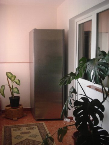 Cazare in Baia Mare - PENSIUNEA DARIA - Săsar Cazare in Baia Mare - PENSIUNEA DARIA - Săsar