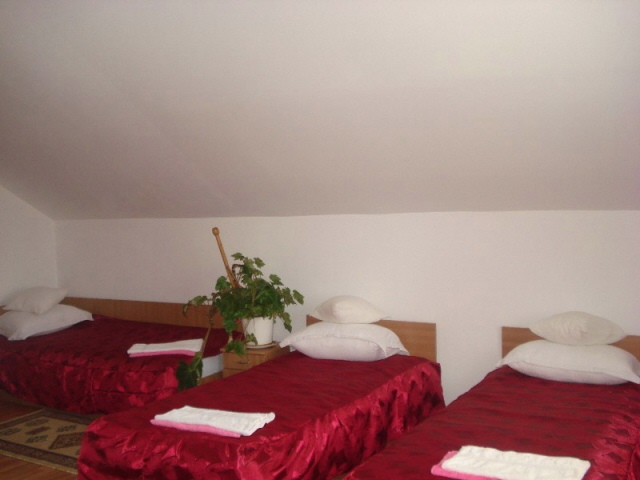 Cazare in Baia Mare - PENSIUNEA DARIA - Săsar Cazare in Baia Mare - PENSIUNEA DARIA - Săsar