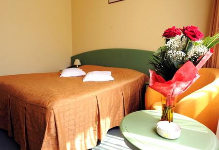 Cazare in Baia Mare - EUROHOTEL BAIA MARE - Baia Mare Cazare in Baia Mare - EUROHOTEL BAIA MARE - Baia Mare