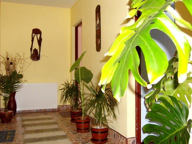 Cazare in Baia Mare - PENSIUNEA CASA DULCE - Firiza-baia Mare Cazare in Baia Mare - PENSIUNEA CASA DULCE - Firiza-baia Mare