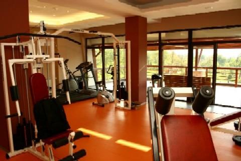 Cazare in Baia Mare - SECRET GARDEN 4* - Danesti Cazare in Baia Mare - SECRET GARDEN 4* - Danesti