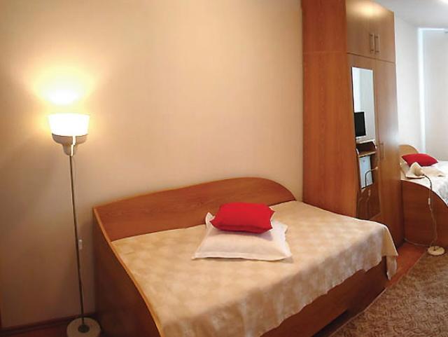 Cazare in Baia Mare - PENSIUNEA DEALUL FLORILOR - Baia Mare Cazare in Baia Mare - PENSIUNEA DEALUL FLORILOR - Baia Mare