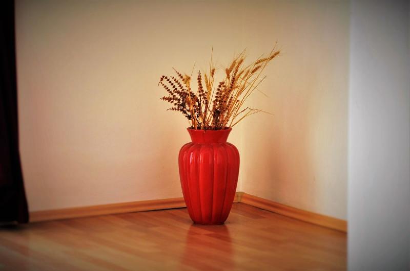 Cazare in Baia Mare - Pensiune Restaurant Anima - Baia Mare Cazare in Baia Mare - Pensiune Restaurant Anima - Baia Mare