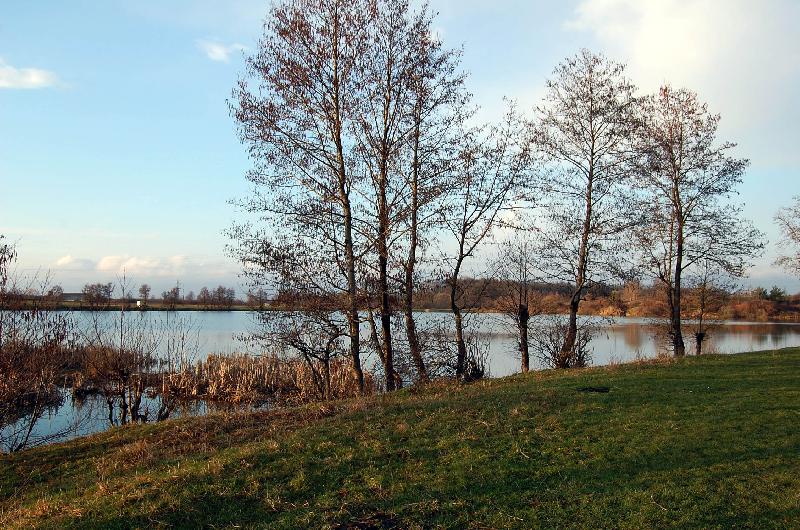 Cazare in Baia Mare - Hotel Restaurant DOUĂ VEVERIŢE - Baia Mare Cazare in Baia Mare - Hotel Restaurant DOUĂ VEVERIŢE - Baia Mare